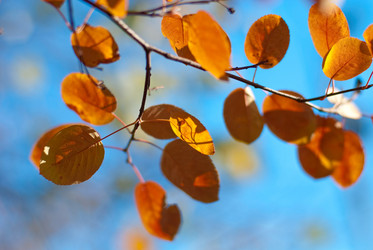 Similar image 677407