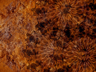 Similar image 677524