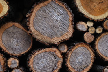 Similar image 677546