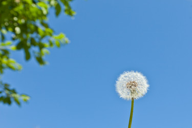 Similar image 677578