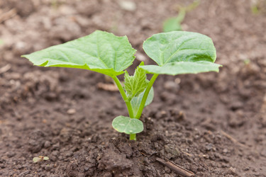 Similar image 677598