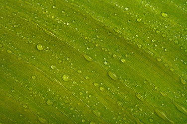 Similar image 677600