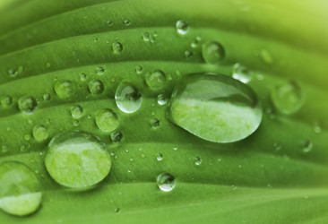 Similar image 677601