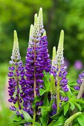 Similar image 677616