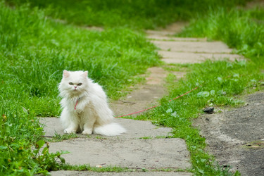 Similar image 677627