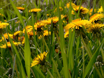 Similar image 677668