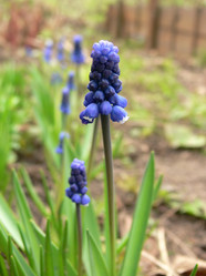 Similar image 677676