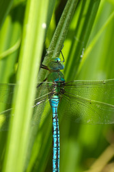 Similar image 677687