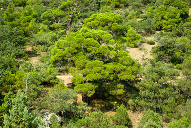 Similar image 677705