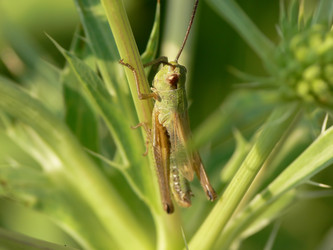 Similar image 677718