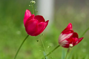 Similar image 677722