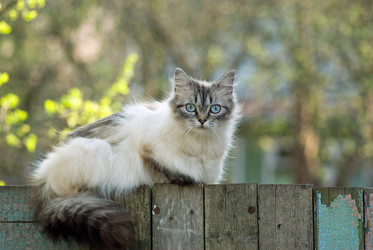 Similar image 677723