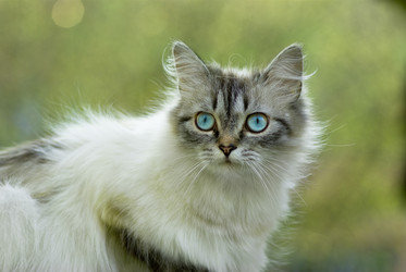 Similar image 677724