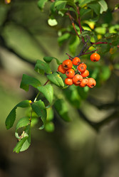 Similar image 677726