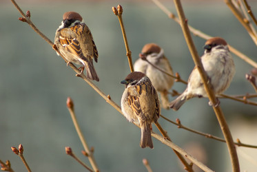 Similar image 677727