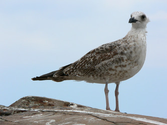 Similar image 677729