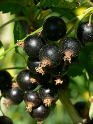 Similar image 677730