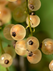 Similar image 677734