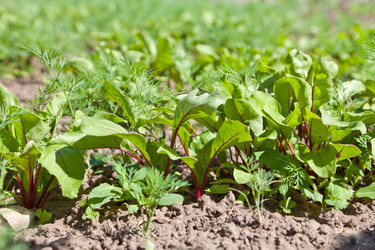 Similar image 677750