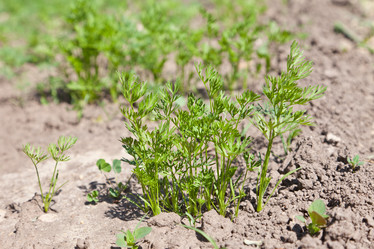 Similar image 677751