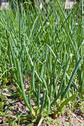 Similar image 677753