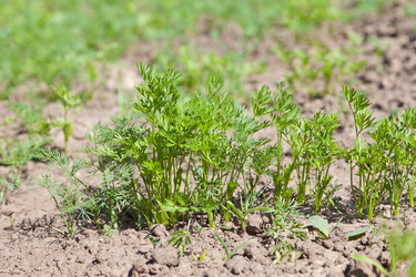 Similar image 677754