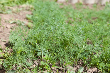 Similar image 677756