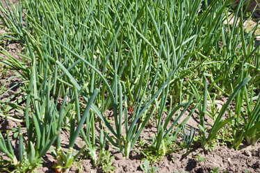 Similar image 677757