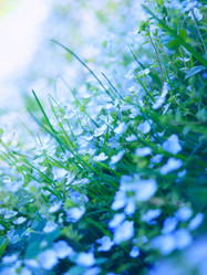 Similar image 677825