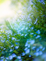 Similar image 677826