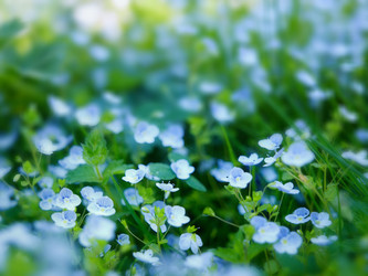 Similar image 677827