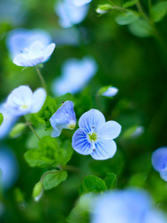 Similar image 677828