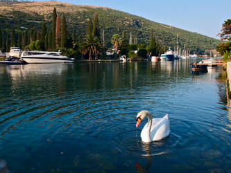 Similar image 677862