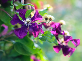 Similar image 677903