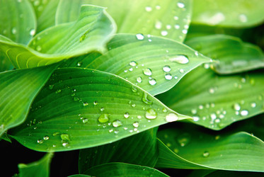 Similar image 677906