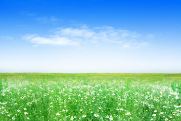 Similar image 677987