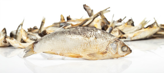 Similar image 678000