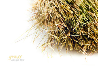 Similar image 678003