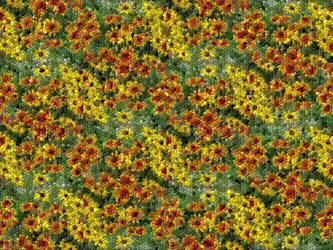 Similar image 678039