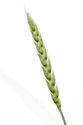 Similar image 678043