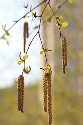 Similar image 678080