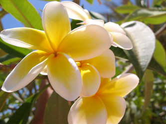 Similar image 678097