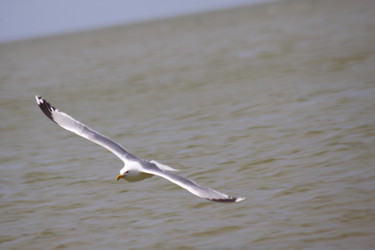 Similar image 678120