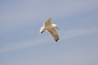 Similar image 678128