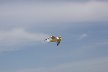 Similar image 678129