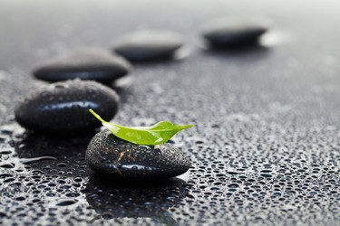 Similar image 678134