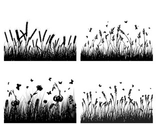 Similar image 678172