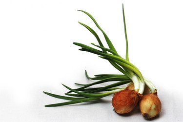 Similar image 678199