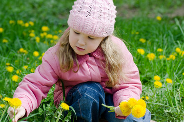 Similar image 678219