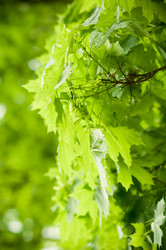 Similar image 678323